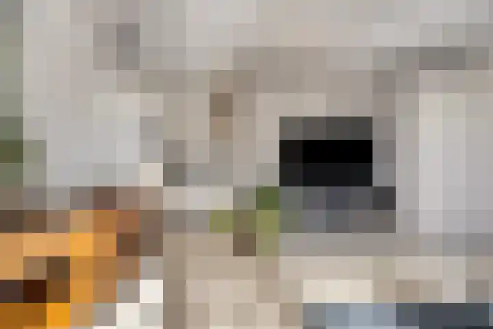 Vijfhagen 97 Breda thumbnail 19