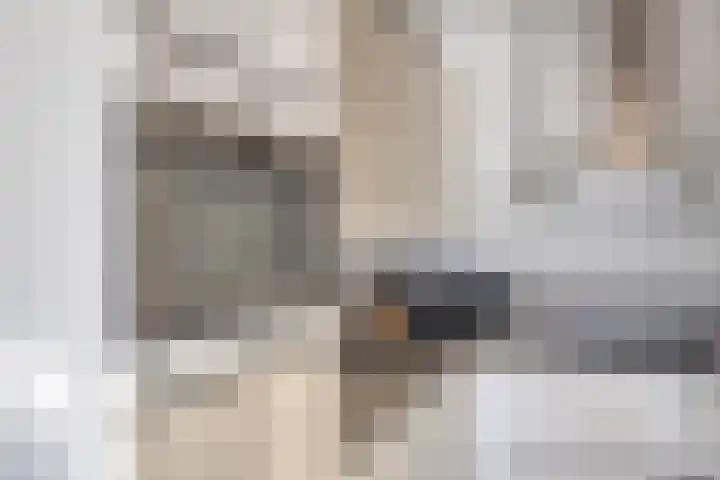 Vijfhagen 97 Breda thumbnail 21