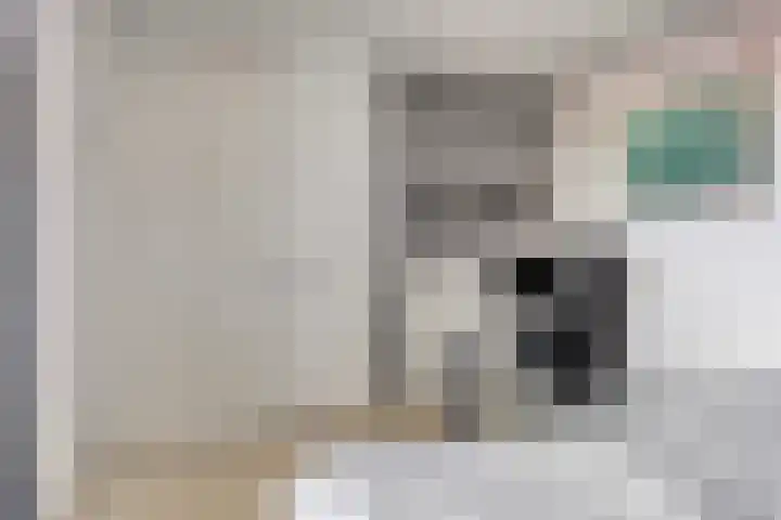 Vijfhagen 97 Breda thumbnail 26