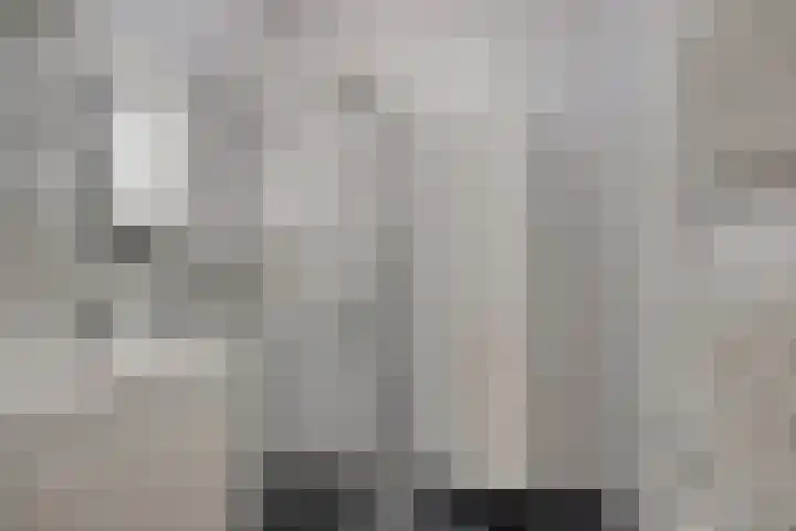 Vijfhagen 97 Breda thumbnail 27