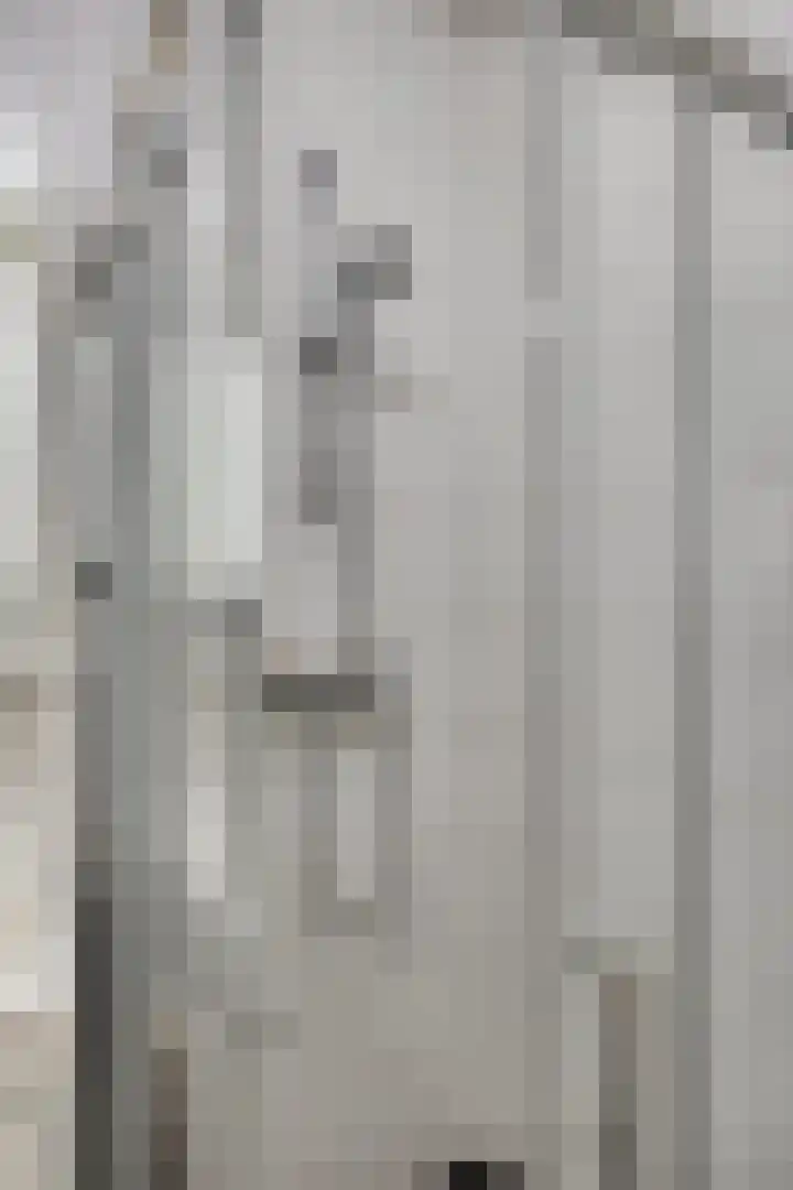 Vijfhagen 97 Breda thumbnail 28