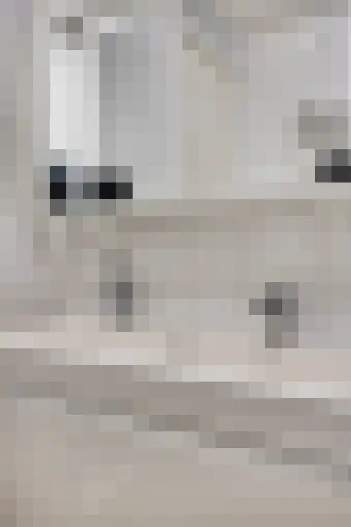 Vijfhagen 97 Breda thumbnail 29