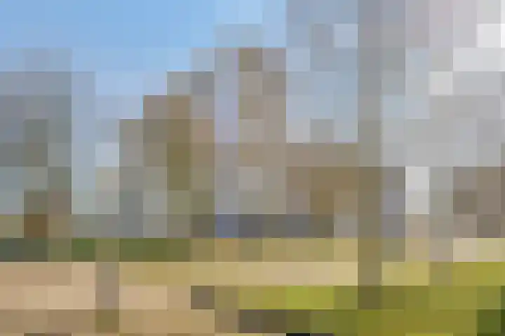 Vijfhagen 97 Breda thumbnail 5
