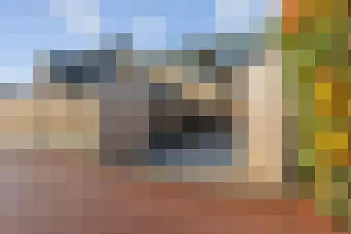 Vijfheerenlanden 13 Den Haag thumbnail 10