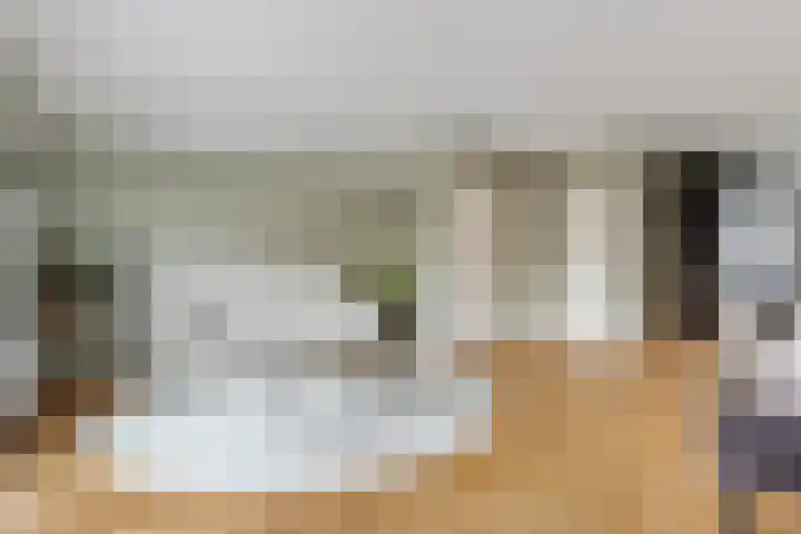 Vijfheerenlanden 13 Den Haag thumbnail 11