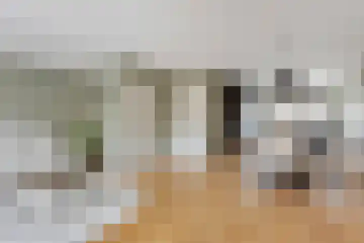 Vijfheerenlanden 13 Den Haag thumbnail 12