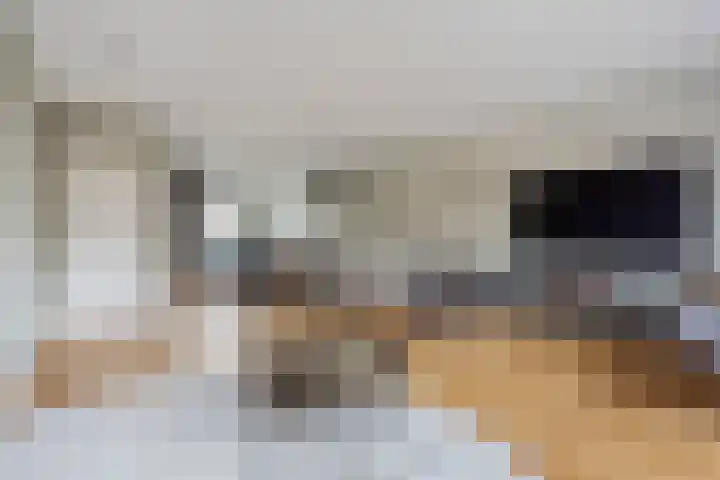 Vijfheerenlanden 13 Den Haag thumbnail 13