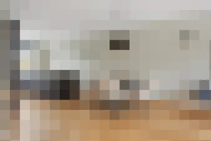 Vijfheerenlanden 13 Den Haag thumbnail 15