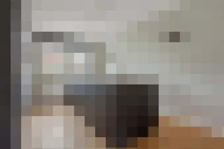 Vijfheerenlanden 13 Den Haag thumbnail 16