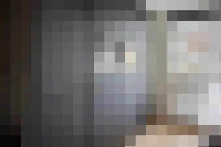 Vijfheerenlanden 13 Den Haag thumbnail 17