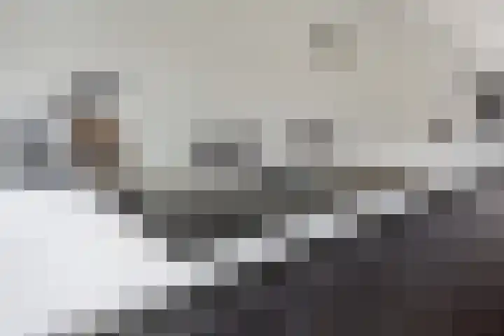 Vijfheerenlanden 13 Den Haag thumbnail 21