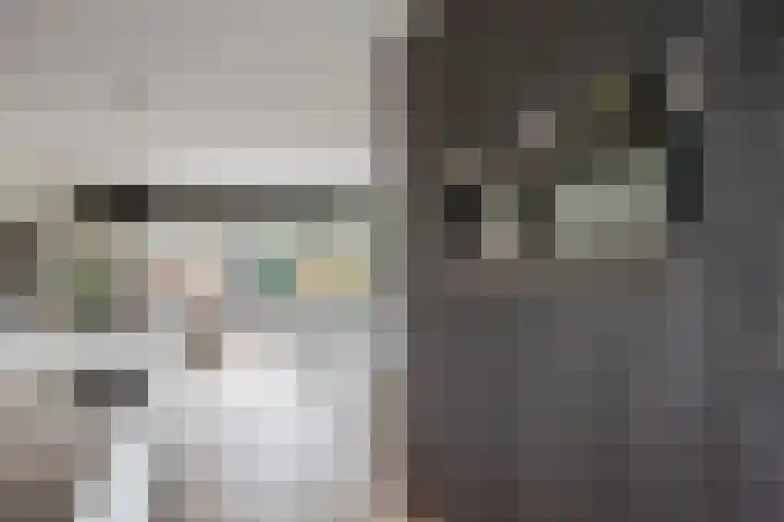 Vijfheerenlanden 13 Den Haag thumbnail 22