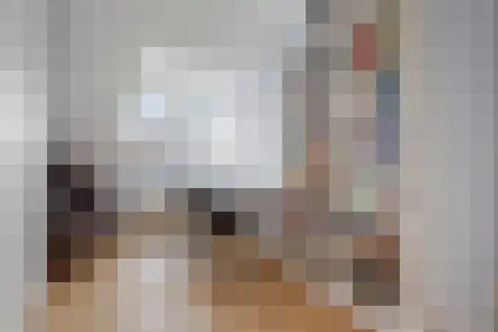 Vijfheerenlanden 13 Den Haag thumbnail 26