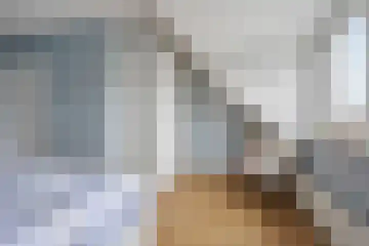 Vijfheerenlanden 13 Den Haag thumbnail 28
