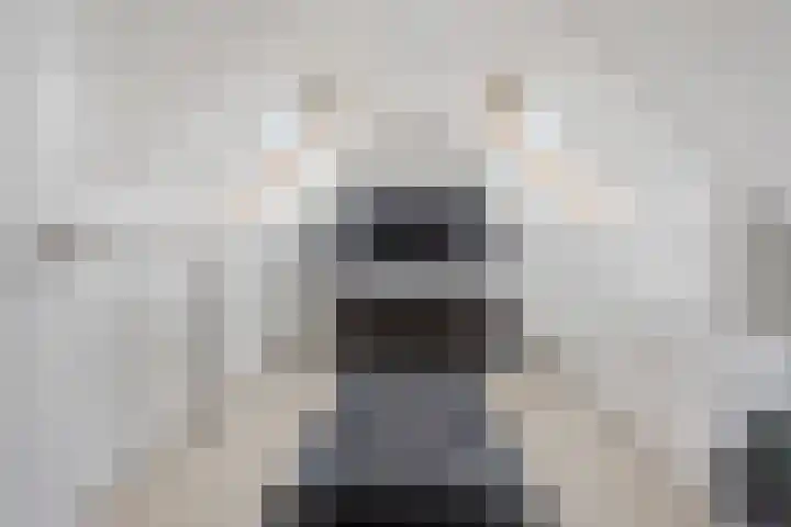 Vijfheerenlanden 13 Den Haag thumbnail 36