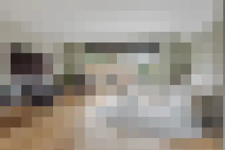 Vijfheerenlanden 13 Den Haag thumbnail 4