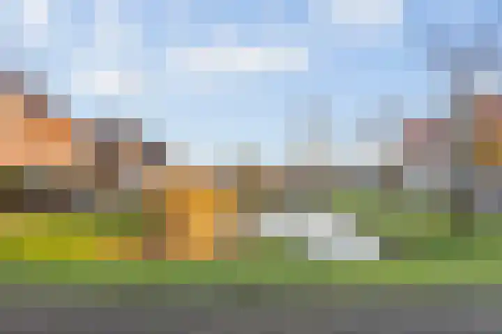 Vijfheerenlanden 13 Den Haag thumbnail 40