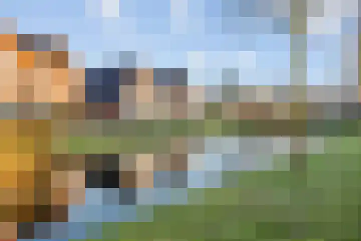 Vijfheerenlanden 13 Den Haag thumbnail 41