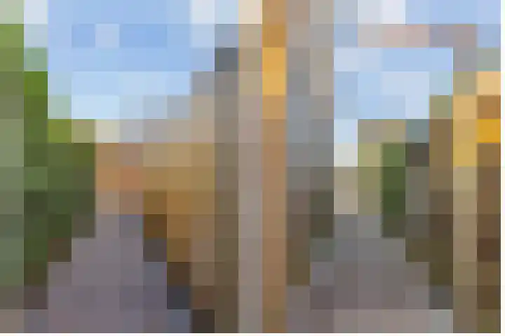 Vijfheerenlanden 13 Den Haag thumbnail 8