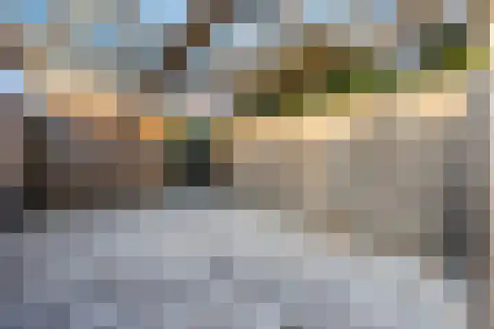 Vijfheerenlanden 13 Den Haag thumbnail 9