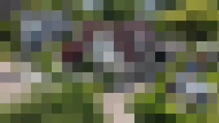 Vijfheerenlanden 13 Emmeloord