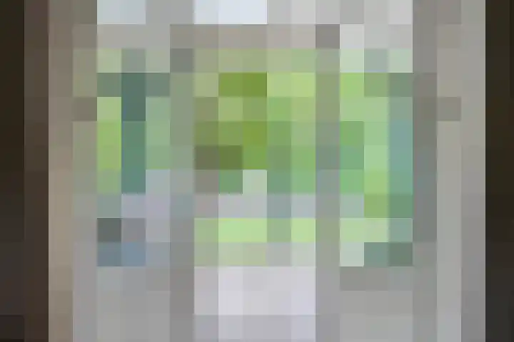 Vijfheerenlanden 13 Emmeloord thumbnail 11