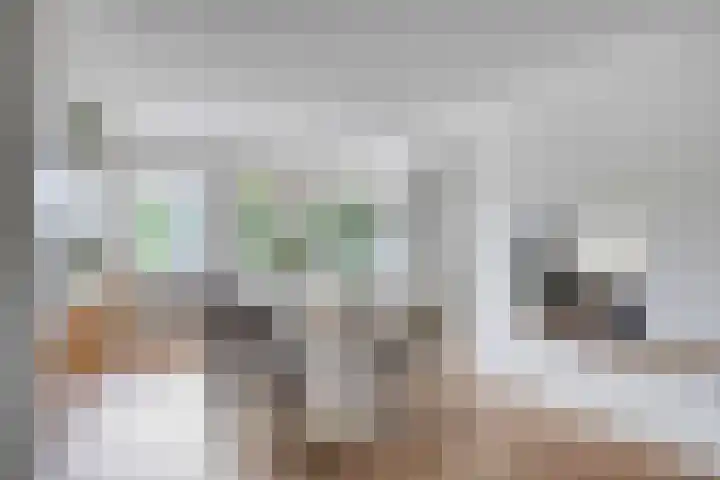Vijfheerenlanden 13 Emmeloord thumbnail 13