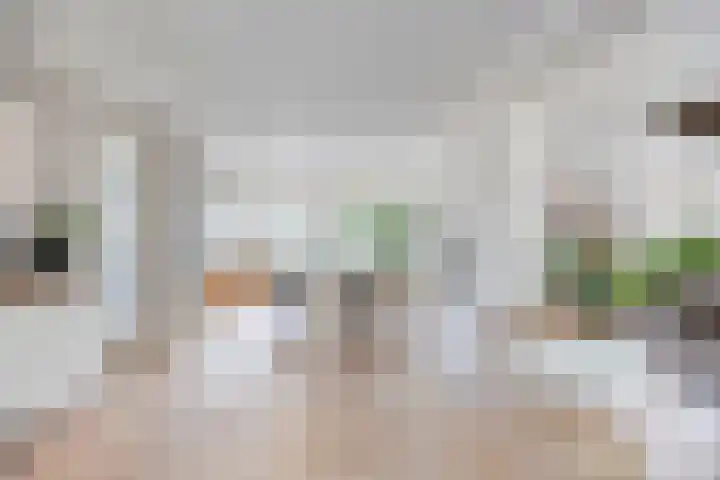 Vijfheerenlanden 13 Emmeloord thumbnail 14