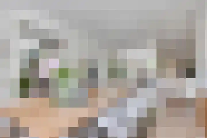 Vijfheerenlanden 13 Emmeloord thumbnail 15