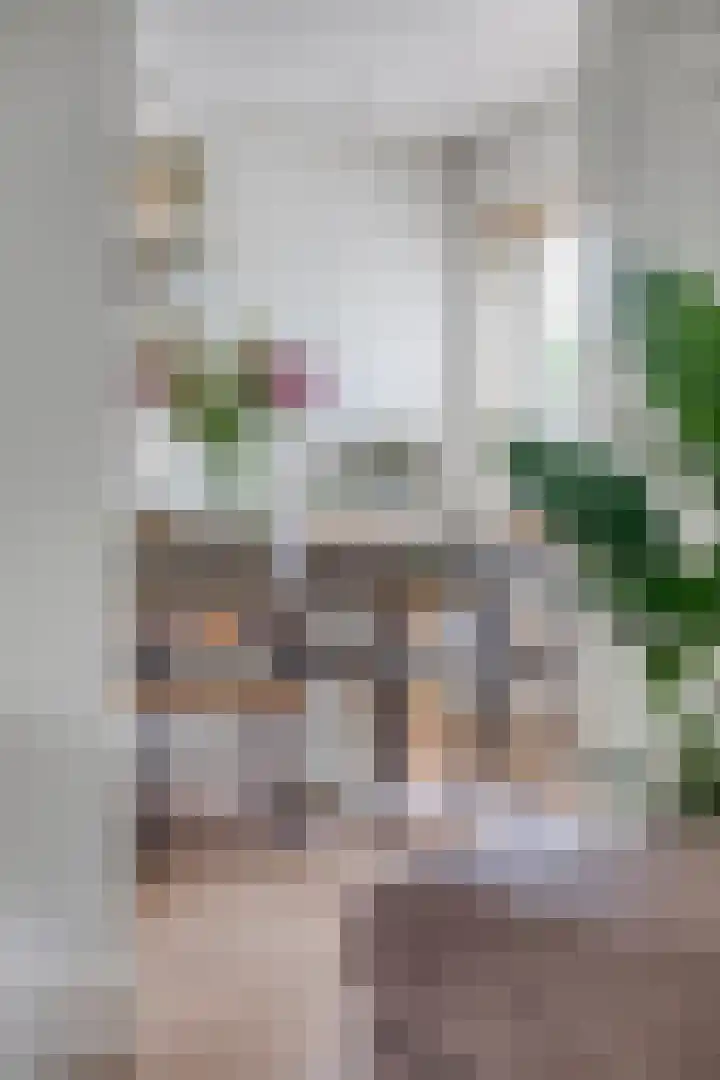 Vijfheerenlanden 13 Emmeloord thumbnail 16