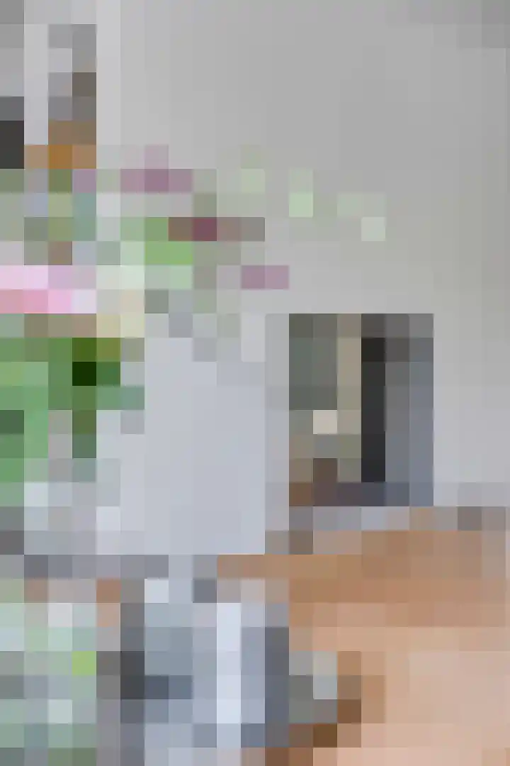 Vijfheerenlanden 13 Emmeloord thumbnail 17