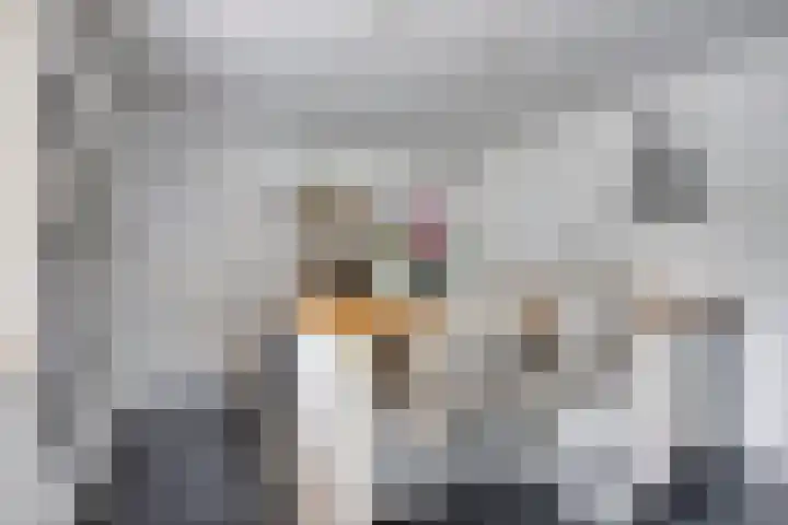 Vijfheerenlanden 13 Emmeloord thumbnail 20