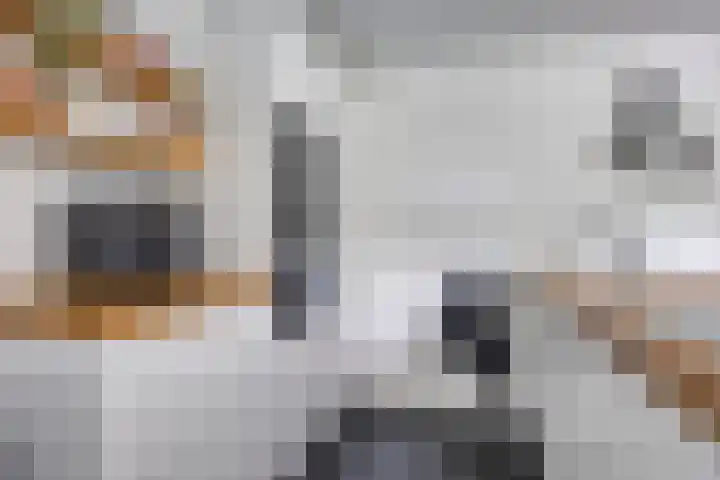 Vijfheerenlanden 13 Emmeloord thumbnail 21