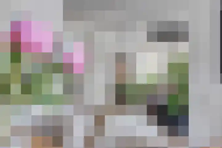 Vijfheerenlanden 13 Emmeloord thumbnail 22