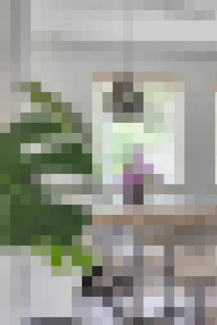 Vijfheerenlanden 13 Emmeloord thumbnail 23