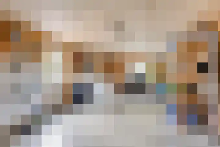 Vijfheerenlanden 13 Emmeloord thumbnail 28