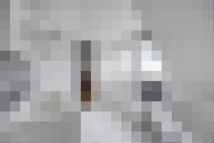Vijfheerenlanden 13 Emmeloord thumbnail 33