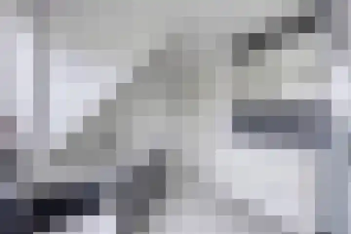 Vijfheerenlanden 13 Emmeloord thumbnail 34