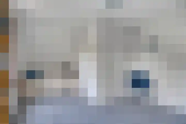 Vijfheerenlanden 13 Emmeloord thumbnail 42