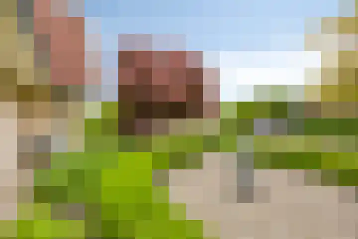 Vijfheerenlanden 13 Emmeloord thumbnail 44