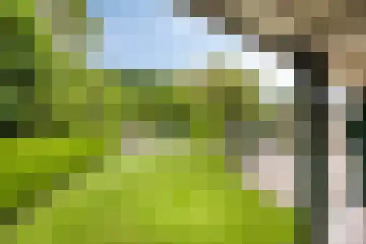 Vijfheerenlanden 13 Emmeloord thumbnail 46