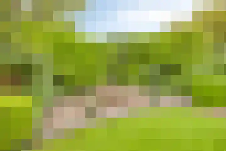 Vijfheerenlanden 13 Emmeloord thumbnail 47