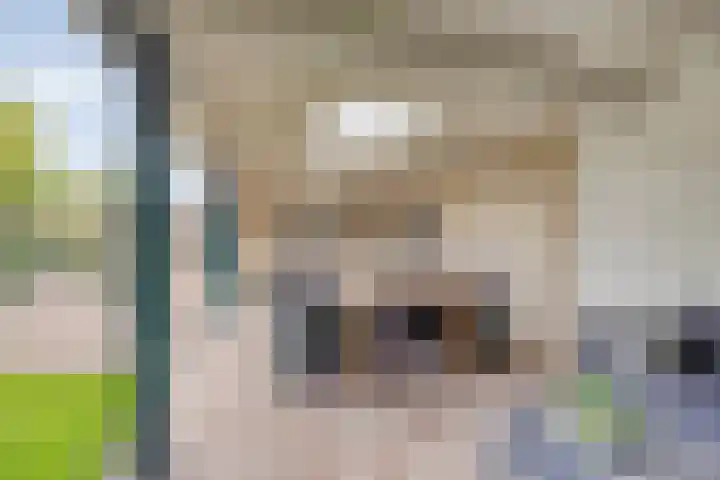 Vijfheerenlanden 13 Emmeloord thumbnail 49