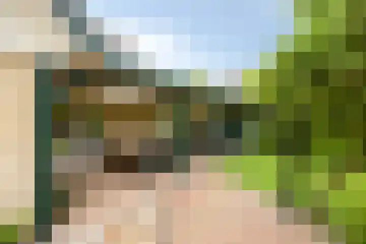 Vijfheerenlanden 13 Emmeloord thumbnail 51