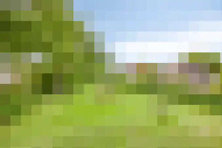 Vijfheerenlanden 13 Emmeloord thumbnail 52
