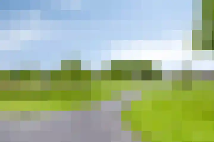 Vijfheerenlanden 13 Emmeloord thumbnail 53