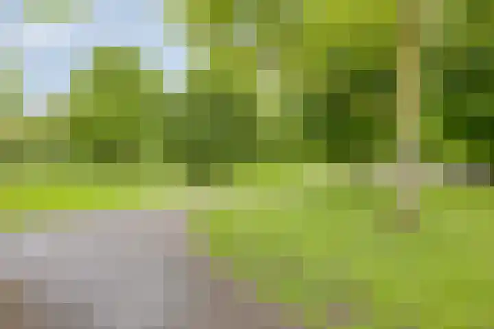 Vijfheerenlanden 13 Emmeloord thumbnail 54