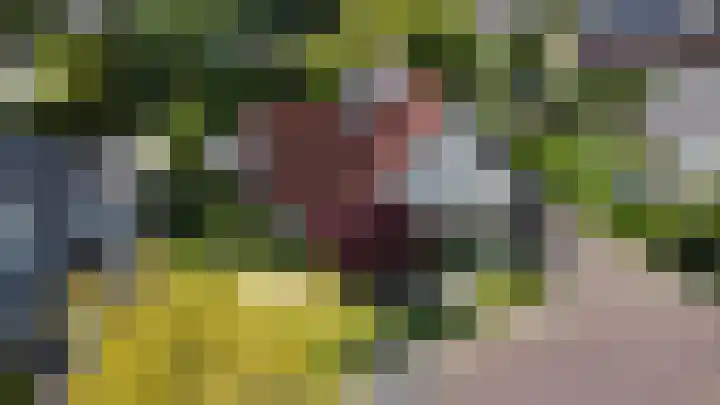 Vijfheerenlanden 13 Emmeloord thumbnail 55