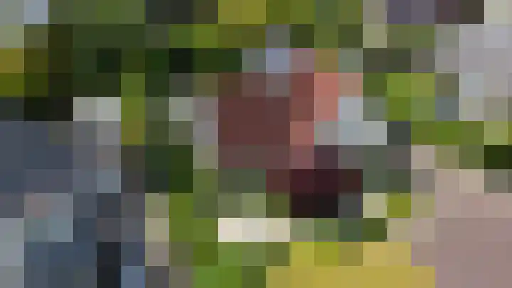 Vijfheerenlanden 13 Emmeloord thumbnail 56