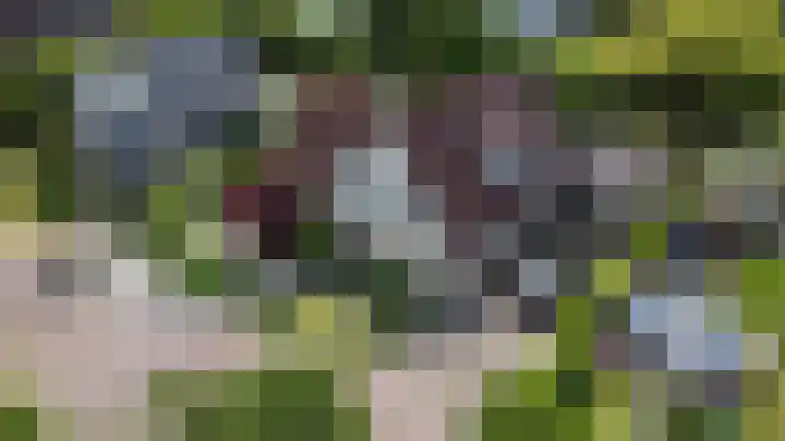 Vijfheerenlanden 13 Emmeloord thumbnail 57